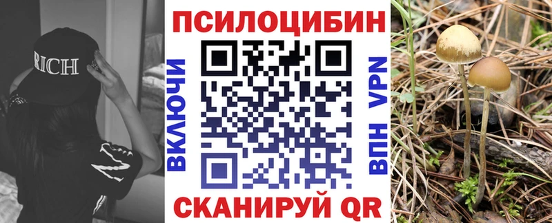 Галлюциногенные грибы Cubensis Мосальск