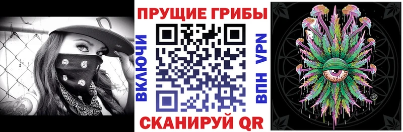 дарнет шоп мориарти какой сайт ссылка на мегу tor Псилоцибиновые грибы GOLDEN TEACHER Мосальск